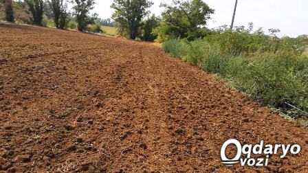 Qishloq hayoti — mehnat va baraka manbai